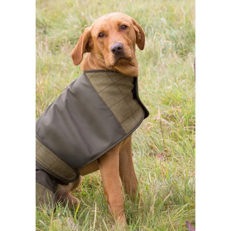 Alan Paine Tweed Showerproof Dog Coat - Lichen